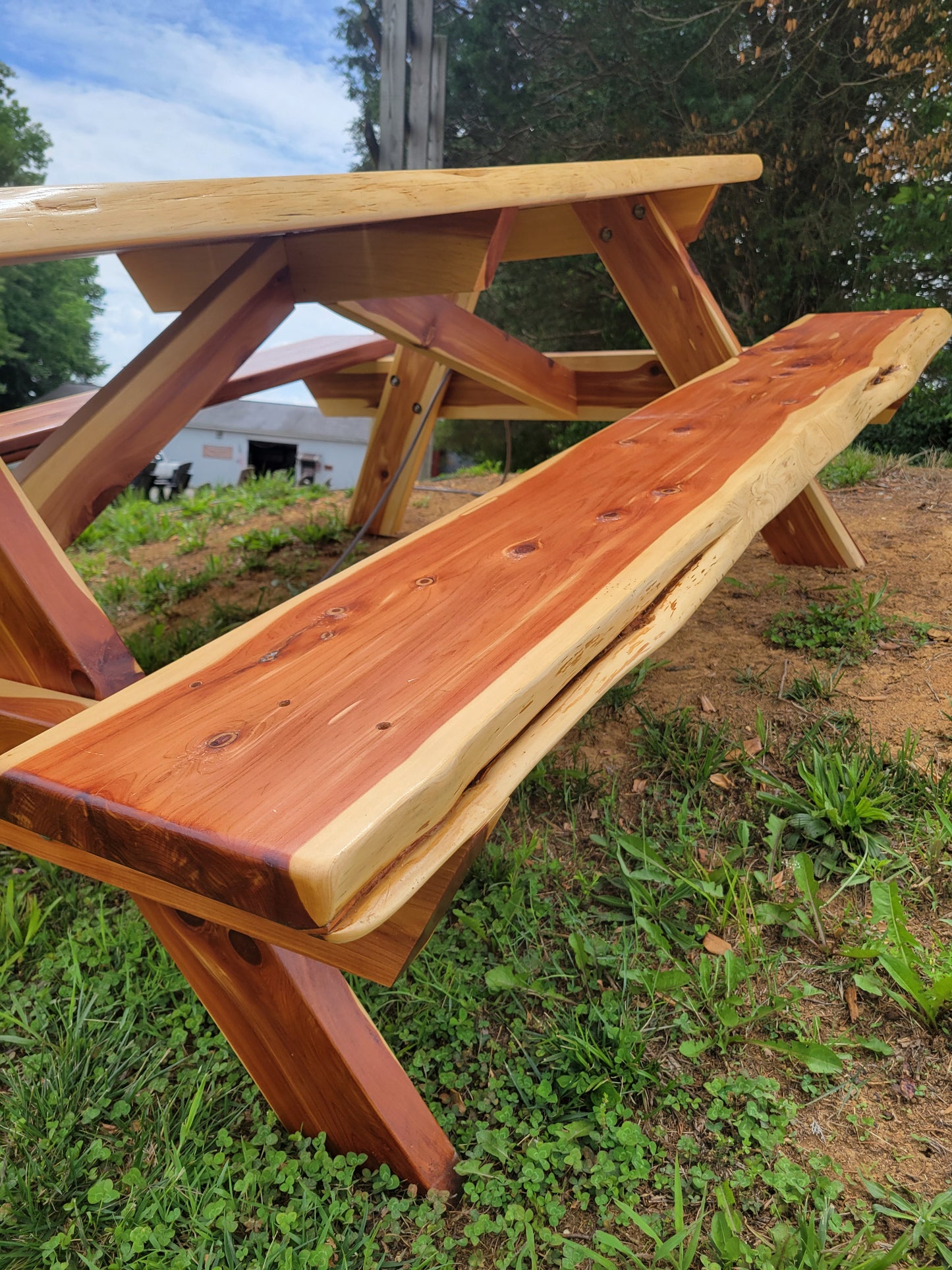 Cedar Live Edge Blue Epoxy River Picnic Table